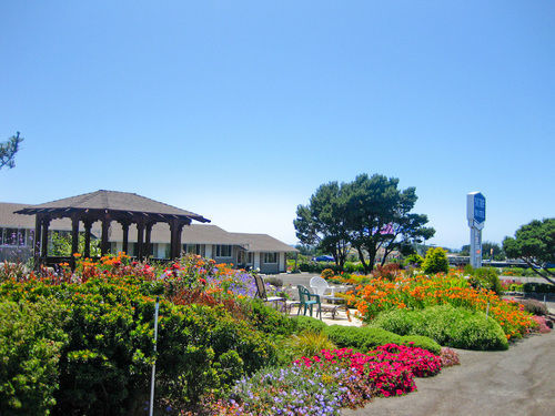 Surf Motel And Gardens Fort Bragg Eksteriør billede